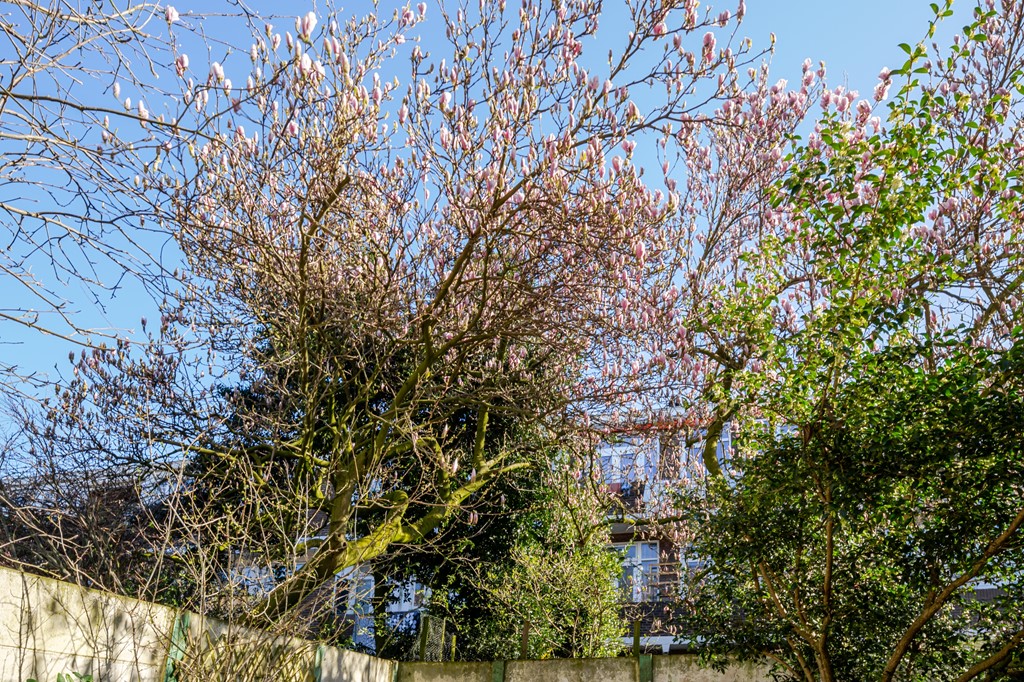 17.12.2025_Bed_2.1 (6 of 45).jpg